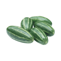 Pointed Gourd