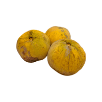 Santol Fruit | List of Green Fruits in English