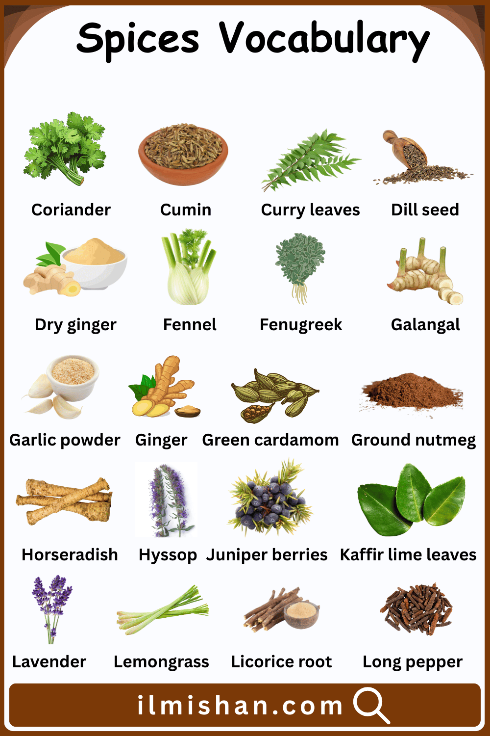 Spices Vocabulary Words and their Pictures