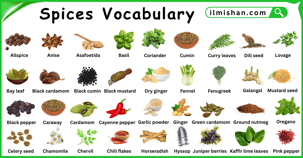 Spices Vocabulary Words in English and Pictures