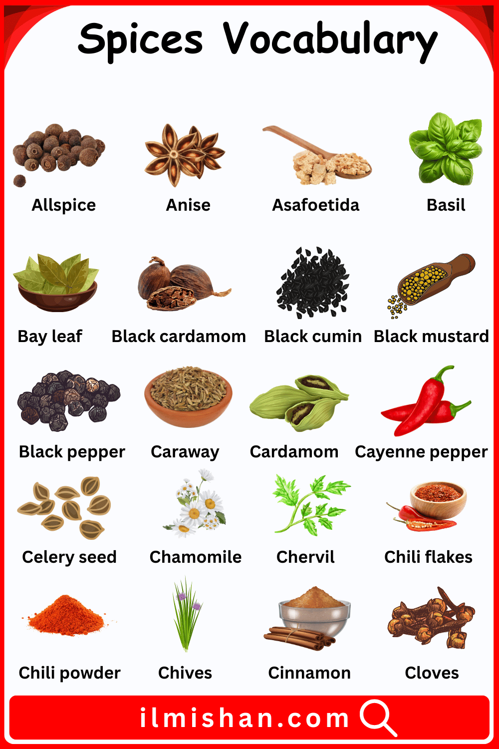 Spices Vocabulary Words in English and Pictures