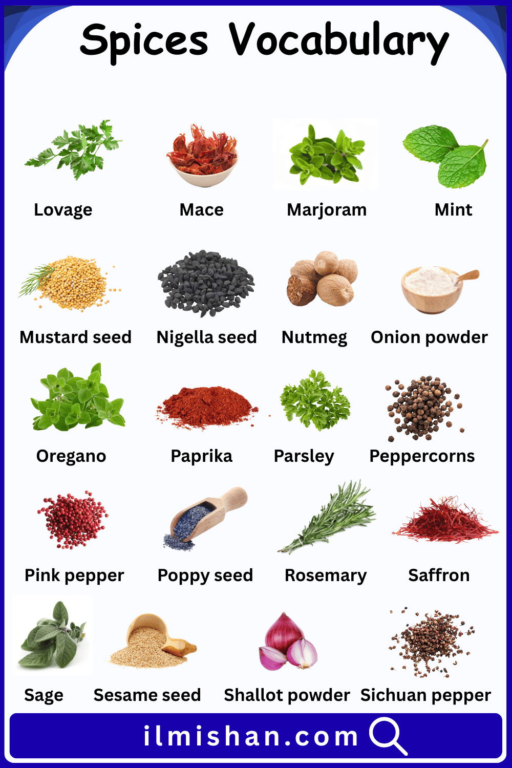 Spices Vocabulary Words in English with their Pictures