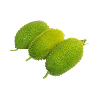 Spiny Gourd | List of Green Fruits in English