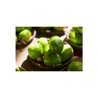 Spondias Dulcis