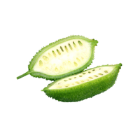 Teasel Gourd | List of Green Fruits in English
