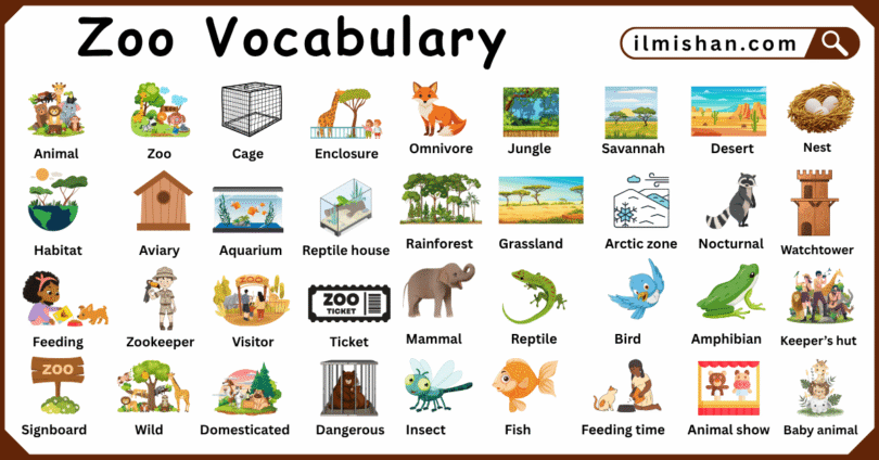 Zoo Vocabulary words in English with their Pictures