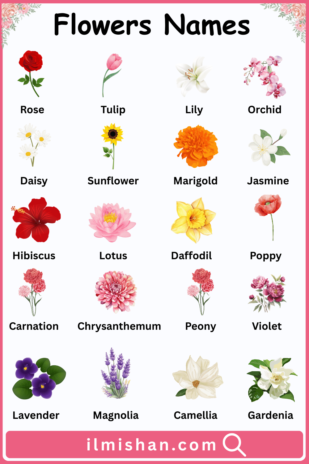 80 Types of Flowers with Pictures