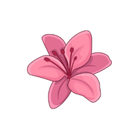 Azalea | Flowers with Their Names in English