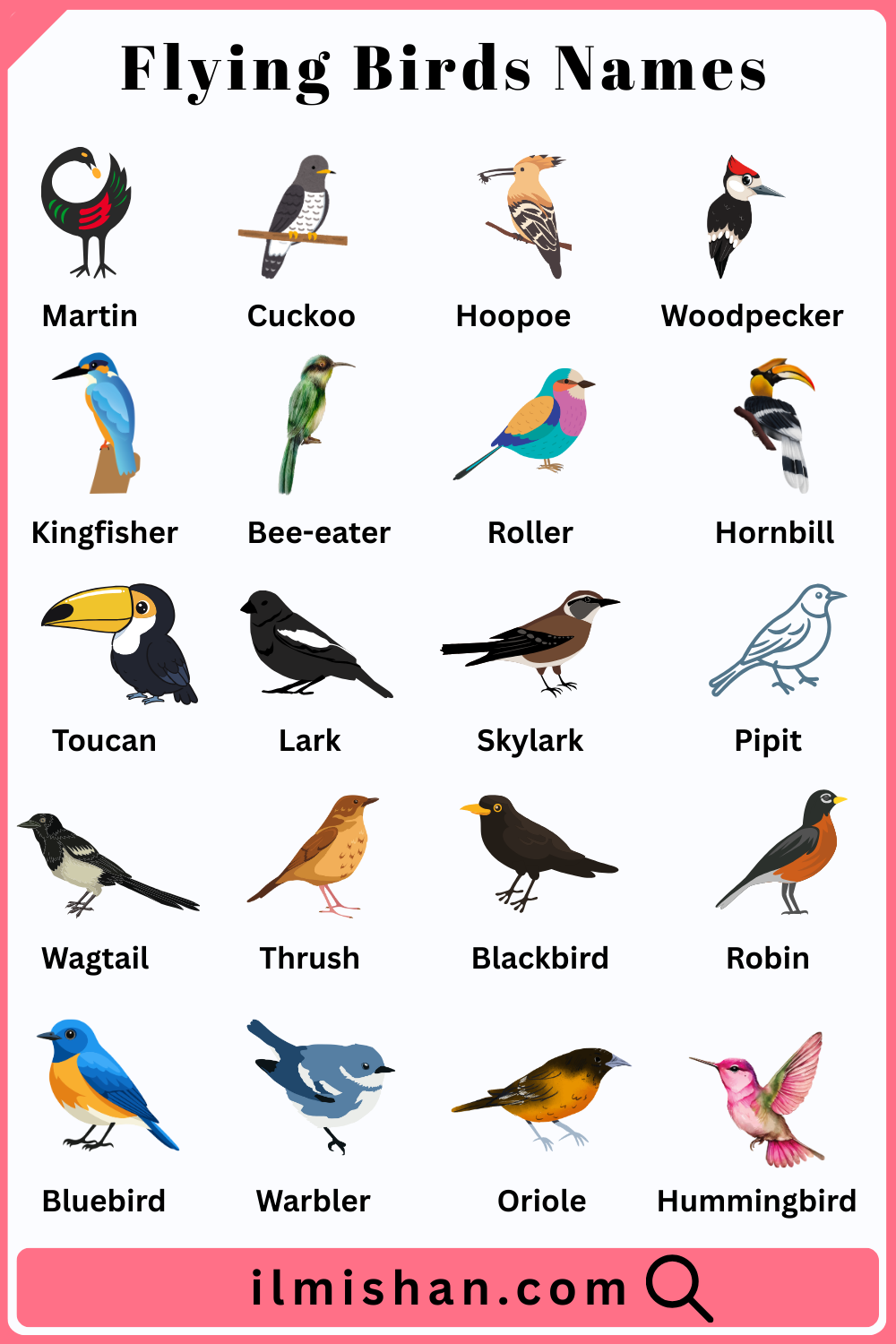 Birds Names in English and their Pictures