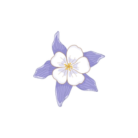 Columbine | Flowers with Their Names in English