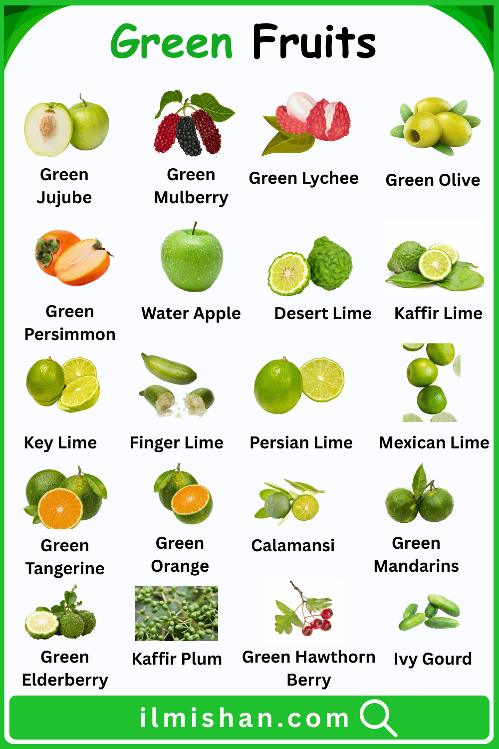 Common Green Fruits Names in English and Pictures