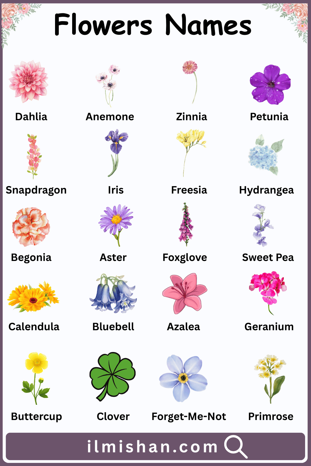 Different Types of Flowers With Names and Pictures