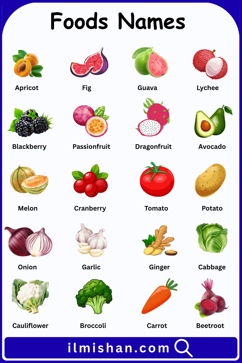 Foods Names in English with their Pictures