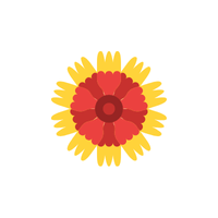 Gaillardia | Flowers with Their Names in English