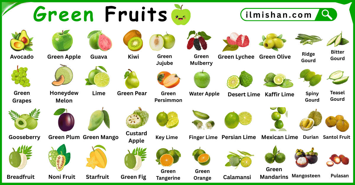 List of Green Fruits in English with Pictures
