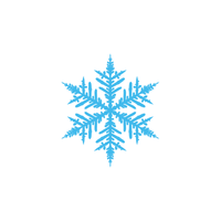 Snowflake | Flowers with Their Names in English