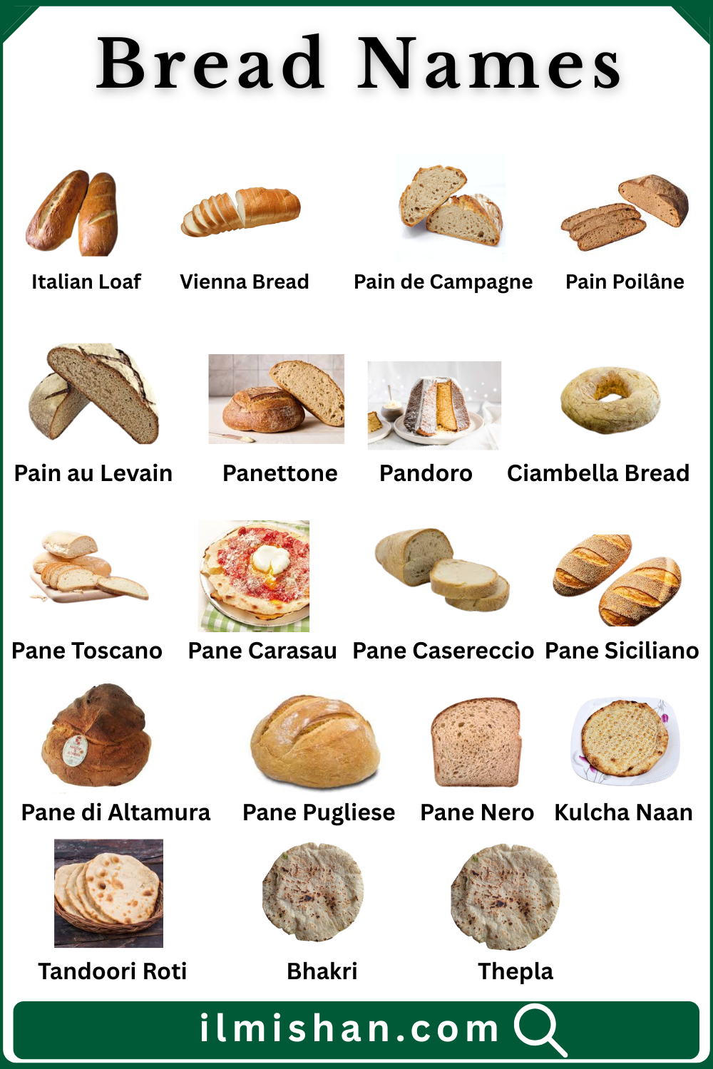 Types of Bread Names in English and Pictures