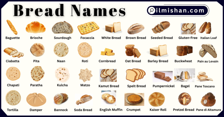 Types of Bread Names in English with Pictures