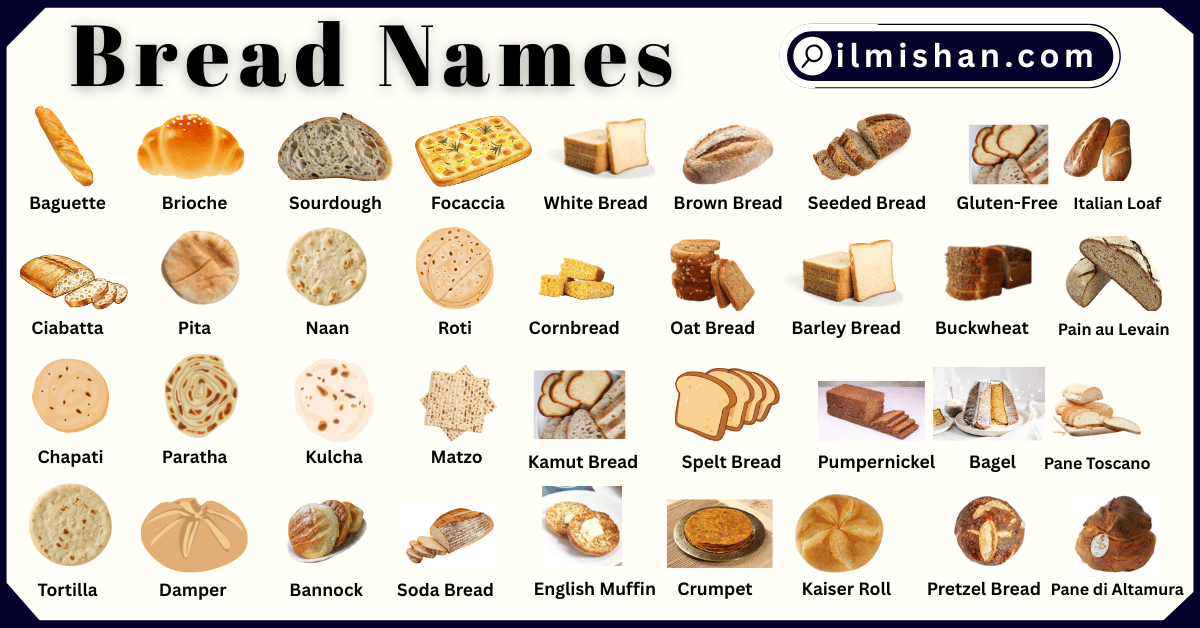 Types of Bread Names in English with Pictures