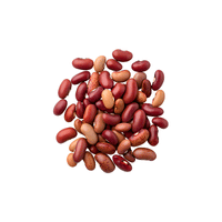 Kidney Bean | List of Beans Names in English