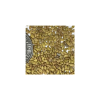 Alfalfa Bean | List of Beans Names in English