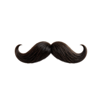 Anchor | Moustaches Styles and Their Names