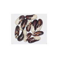 Appaloosa Bean | List of Beans Names in English