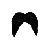 Bandit | Moustaches Styles and Their Names