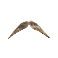 Bold Walrus | Moustaches Styles and Their Names