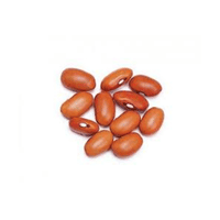 Brown Bean | List of Beans Names in English