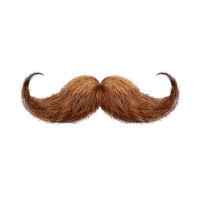 Bushy | Moustaches Styles and Their Names