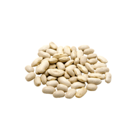 Cannellini Bean