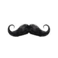 Classic Handlebar