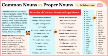 Common Nouns vs Proper Nouns in English and Examples