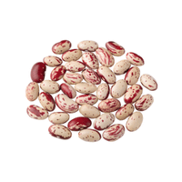 Cranberry Bean | List of Beans Names in English