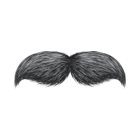 Dali | Moustaches Styles and Their Names