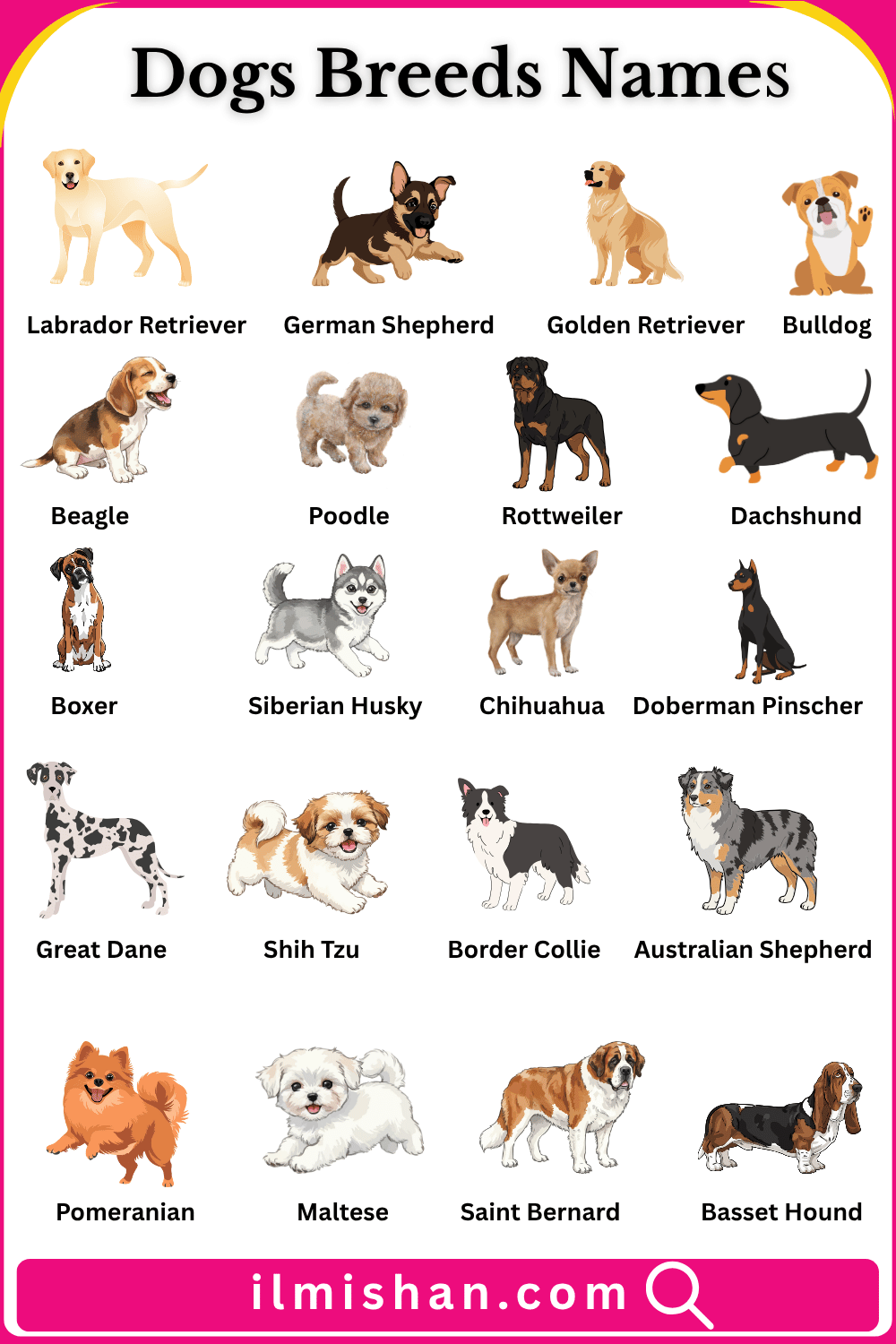 Dog Breeds Names in English and Their Pictures