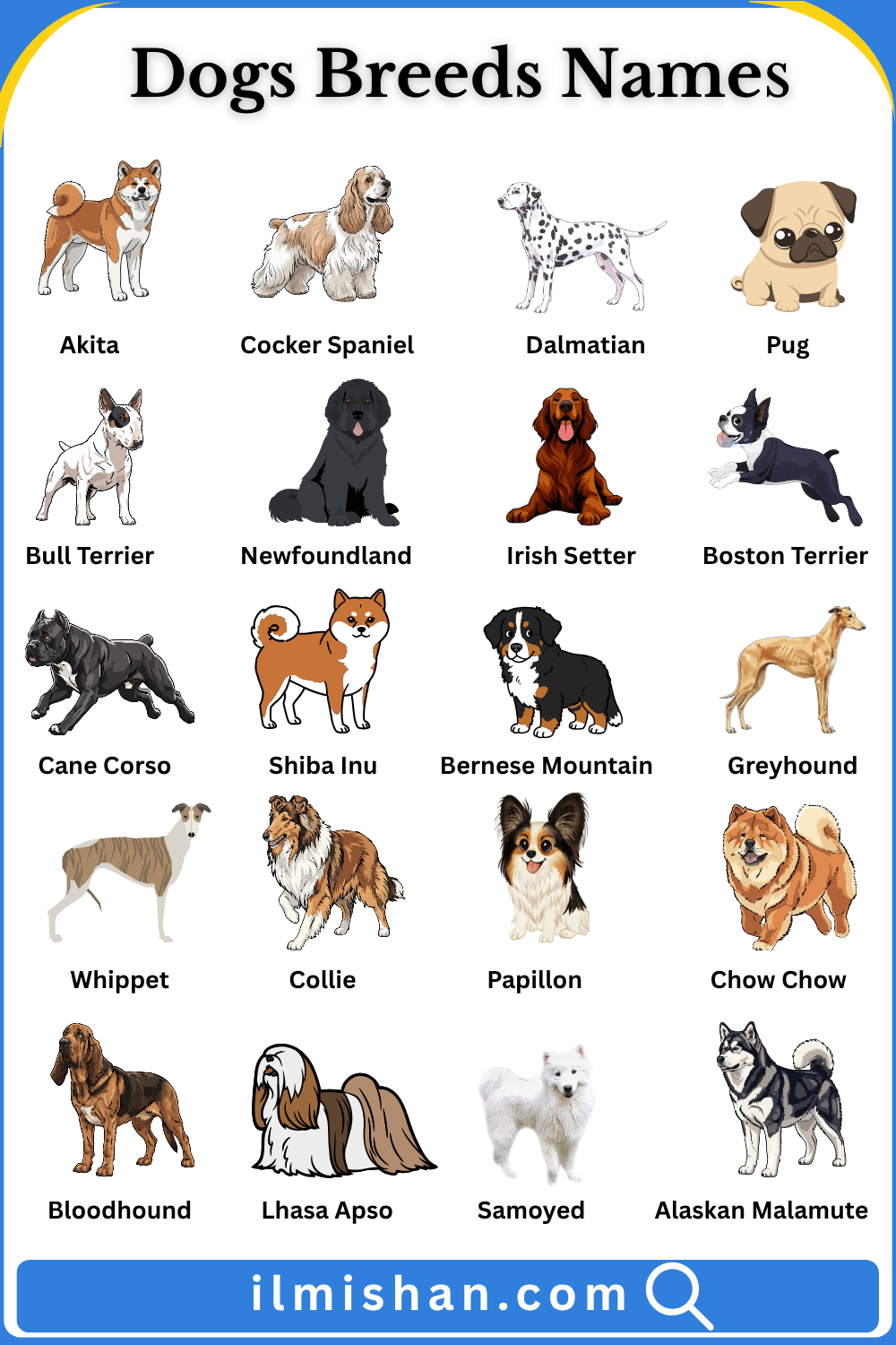 Dog Breeds Names in English with Pictures