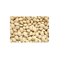 Dolichos Bean | List of Beans Names in English