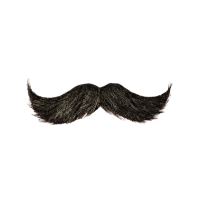English | Moustaches Styles and Their Names
