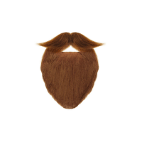 Extended | Moustaches Styles and Their Names