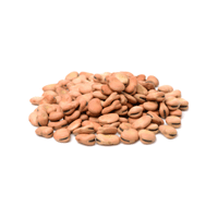 Fava Bean | List of Beans Names in English