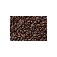 Field Bean | List of Beans Names in English