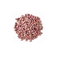 Flor de Junio Bean | List of Beans Names in English