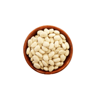 Great Northern Bean