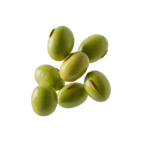 Green Bean | List of Beans Names in English