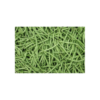 Haricot Vert | List of Beans Names in English