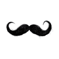 Horseshoe | Moustaches Styles and Their Names