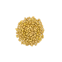 Jalo Bean | List of Beans Names in English