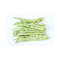 Kentucky Wonder Bean